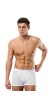 Erdem Erkek Beyaz Lıkralı Boxer 4 Adet 